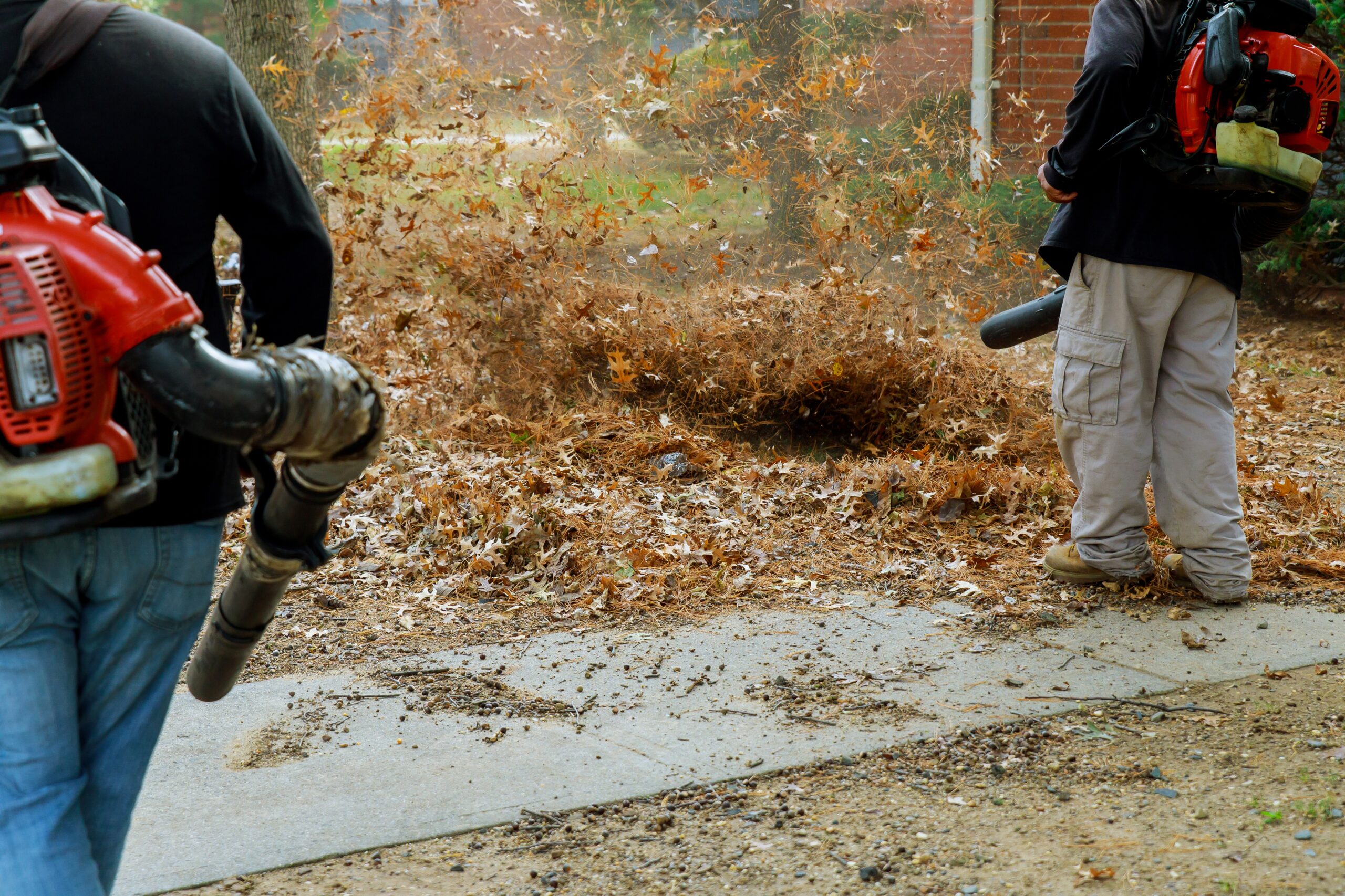 Autumn Cleanup