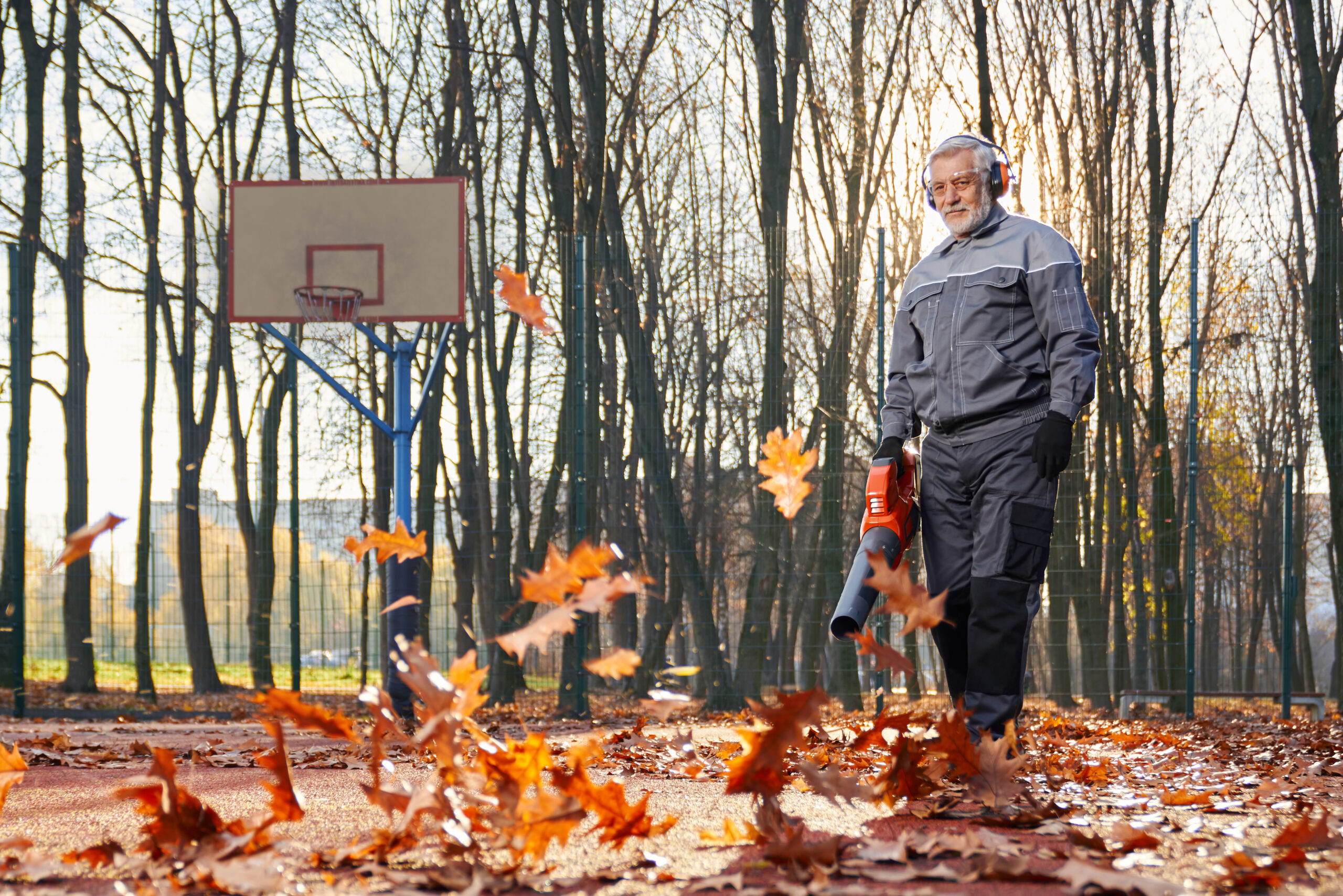 Leaf Blowing & Collection