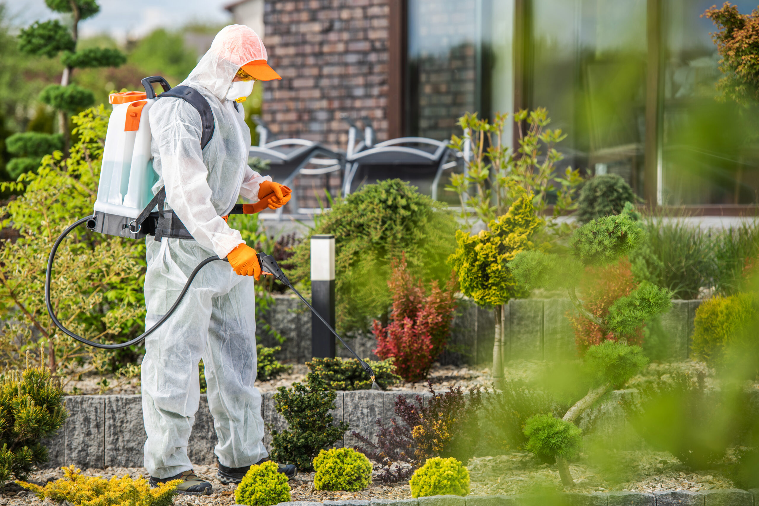 Pest Management