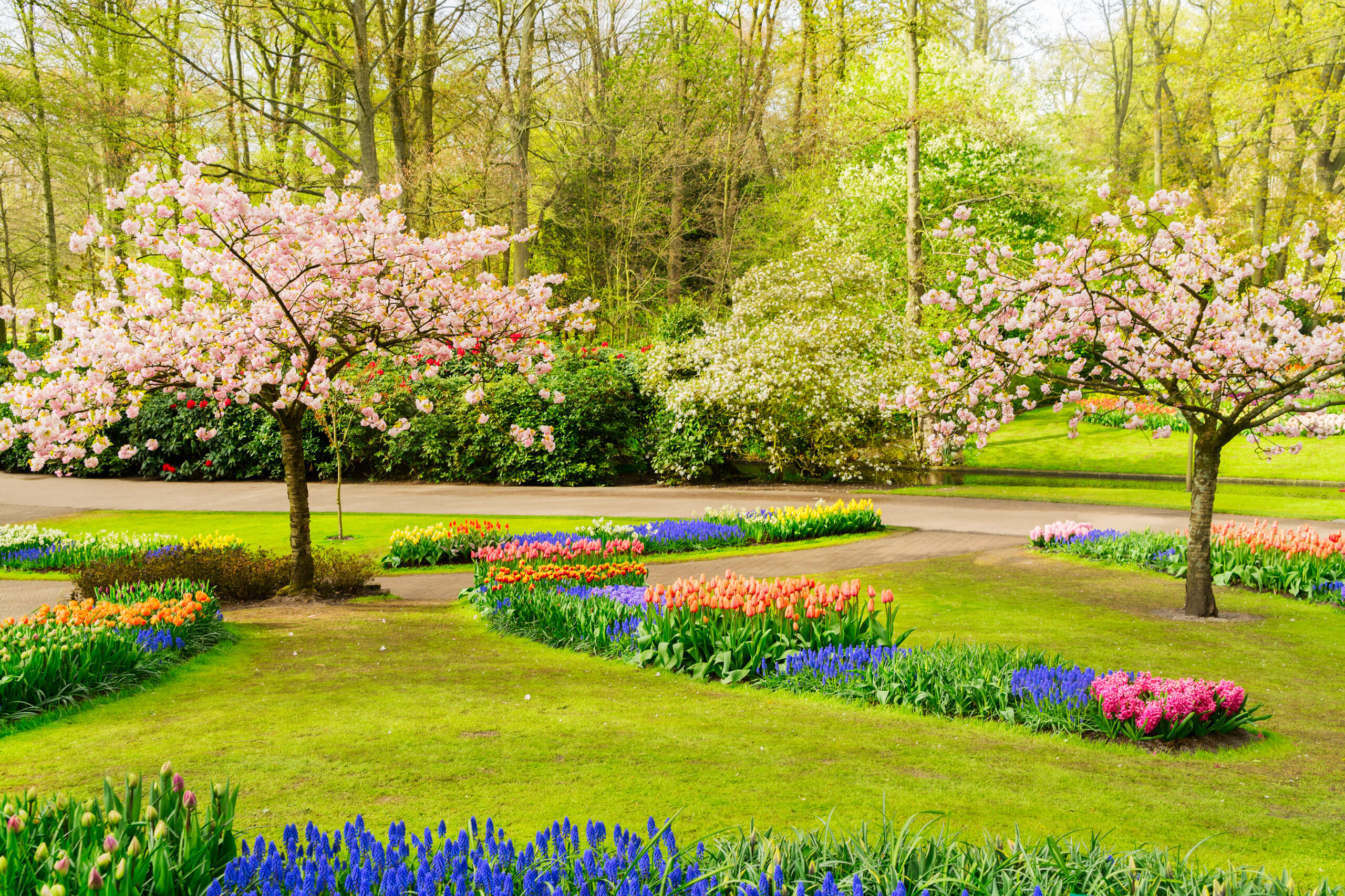 Spring Cleanup