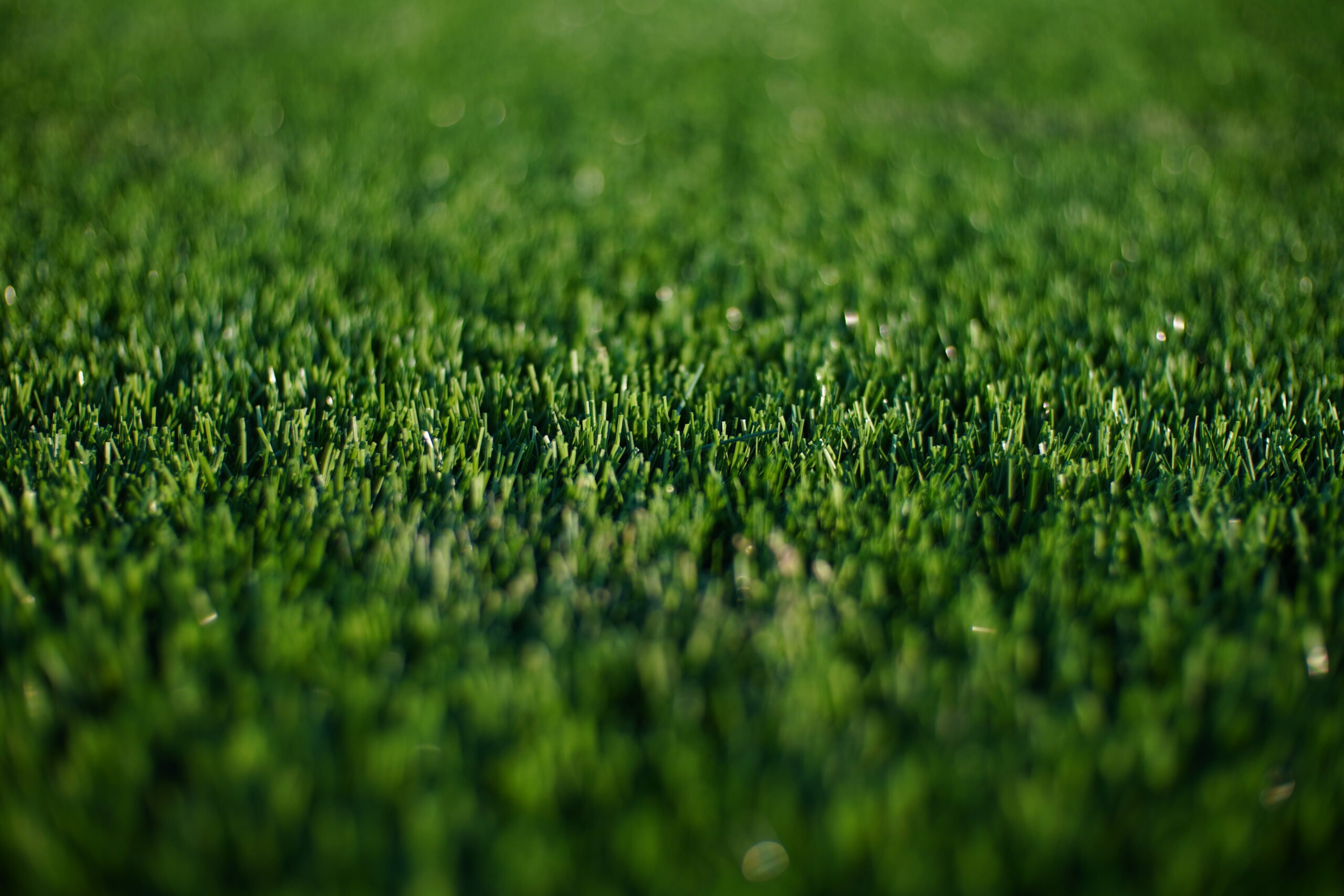 Artificial Grass Installation