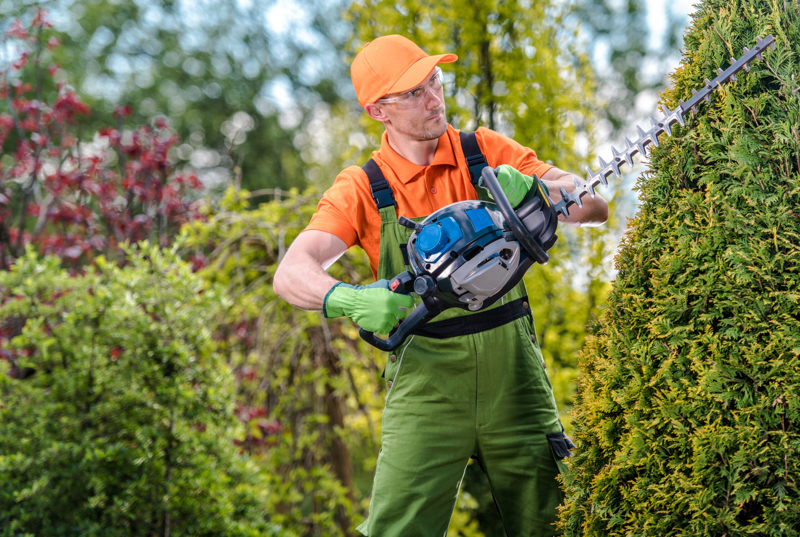 Hedge Trimming